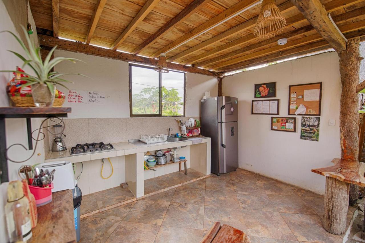 Bella Flor Hostel Palomino Kültér fotó